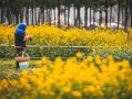高考励志语录经典 高考励志语录经典短句高三简短霸气语录？